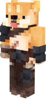 dogeviking