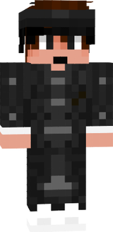 VerlekL