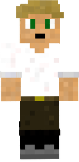 BACIS:minecraft:skin