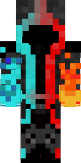 entity 303