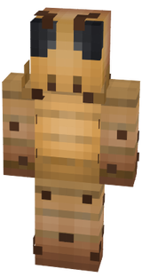 Nong_Namo
