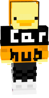 t5
