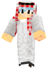 skin minecraft