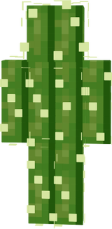 könyv