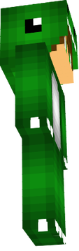 Bau gamer
