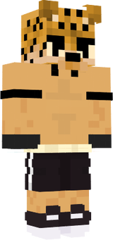 bareta