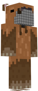 Ropa Capi 2
