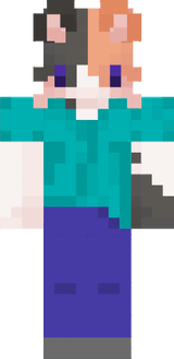 Steve Cat 