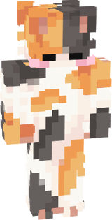 gatito