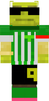 ski