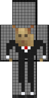 Gato traje 