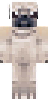 zezinho