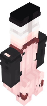 skin de minecraft