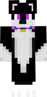 EnderFox2024