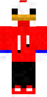 havalı tavuk2