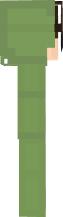 Preview of texture: Sapo