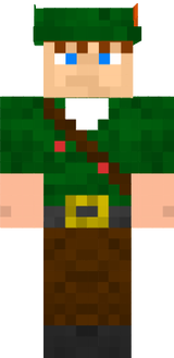 craftsman skin