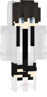 Treinador