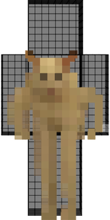 Gato