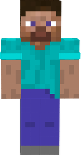 steve