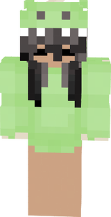 skin de minecraft
