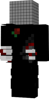 zsh