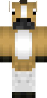 horse 
