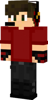 Standard Skin