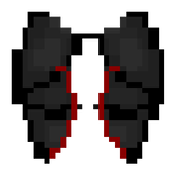 elytra