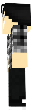 dss