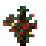 big_christmas_tree_sapling