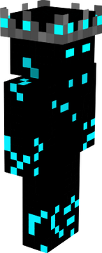 skin2