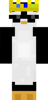 brett's skin