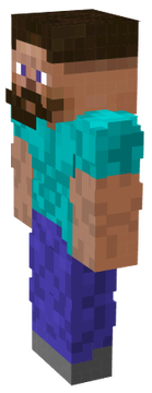 chad steve