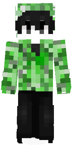 Preview of texture: creeperzip