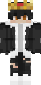 sskin  