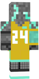 t3