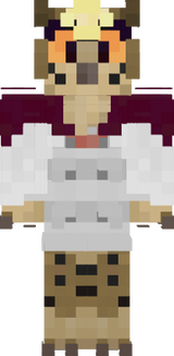 Cooki MHA outfit