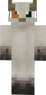 fsa