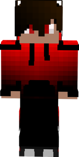 24.11.06 Minecraft skin