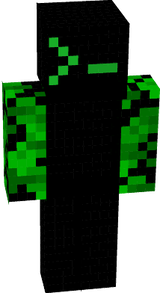 Bash
