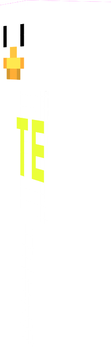 teru