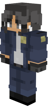 Preview of texture: police
