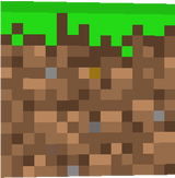new grass