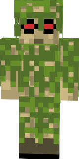 Camo-time7