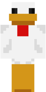 tavuk