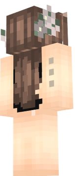  zq 