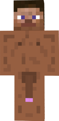 Preview of texture: "steve"