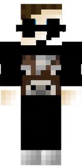 skin minecraft