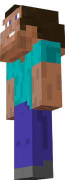 steve